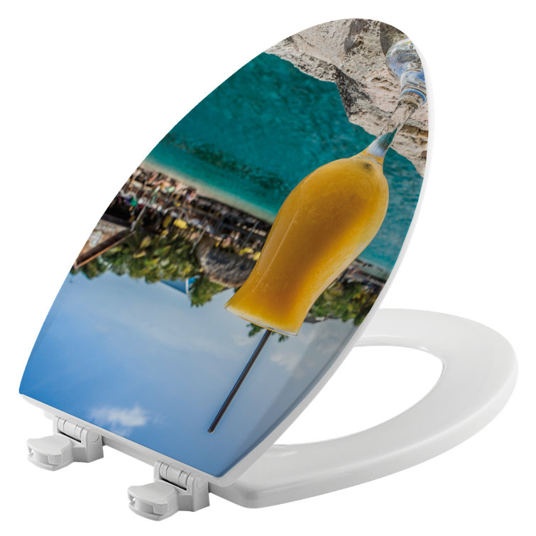 House & Homebody Co. Elongated Toilet Seat and Lid Wayfair Canada